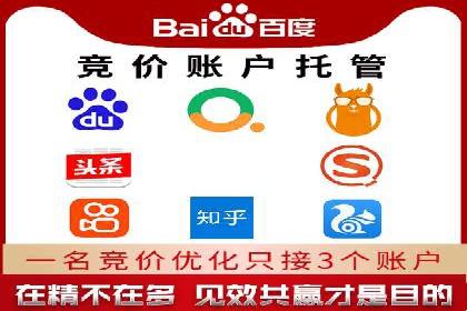 竞价推广与SEM托管结合的营销策略——某电商平台的实践
